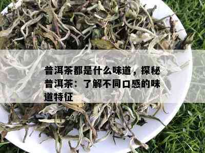 普洱茶都是什么味道，探秘普洱茶：了解不同口感的味道特征