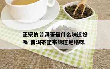 正宗的普洱茶是什么味道好喝-普洱茶正宗味道是啥味