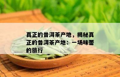 真正的普洱茶产地，揭秘真正的普洱茶产地：一场味蕾的旅行