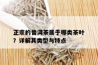 正宗的普洱茶属于哪类茶叶？详解其类型与特点