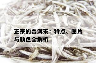 正宗的普洱茶：特点、图片与颜色全解析