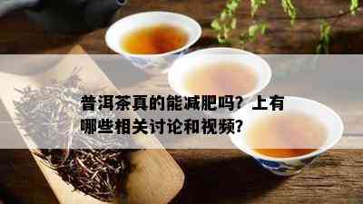 普洱茶真的能减肥吗？上有哪些相关讨论和视频？