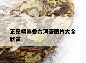 正宗糯米香普洱茶图片大全欣赏