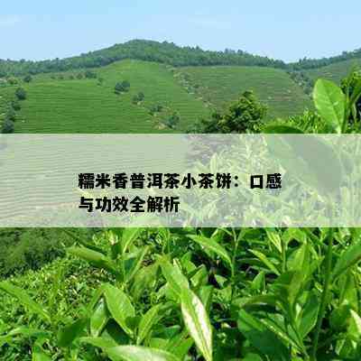 糯米香普洱茶小茶饼：口感与功效全解析