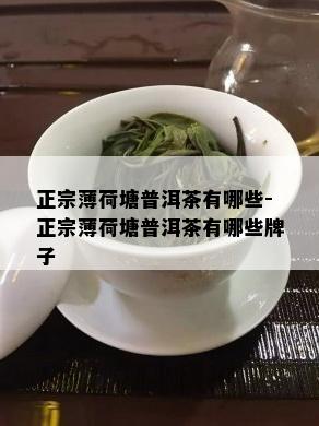 正宗薄荷塘普洱茶有哪些-正宗薄荷塘普洱茶有哪些牌子