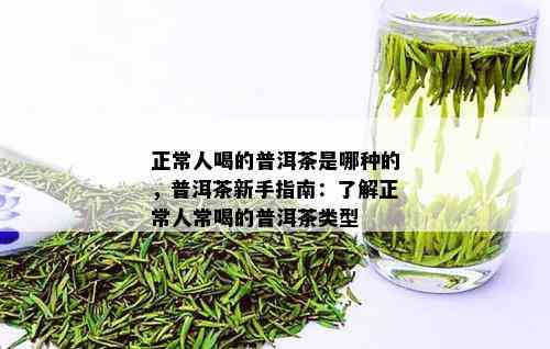 正常人喝的普洱茶是哪种的，普洱茶新手指南：了解正常人常喝的普洱茶类型