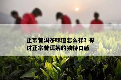 正常普洱茶味道怎么样？探讨正宗普洱茶的独特口感