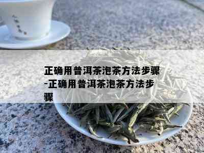 正确用普洱茶泡茶方法步骤-正确用普洱茶泡茶方法步骤