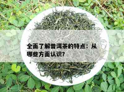 全面了解普洱茶的特点：从哪些方面认识？