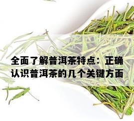 全面了解普洱茶特点：正确认识普洱茶的几个关键方面