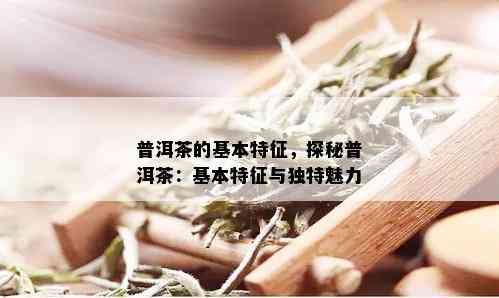 普洱茶的基本特征，探秘普洱茶：基本特征与独特魅力