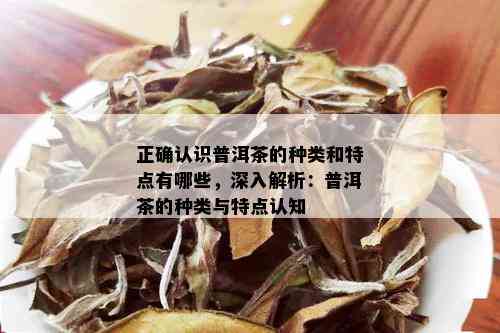 正确认识普洱茶的种类和特点有哪些，深入解析：普洱茶的种类与特点认知