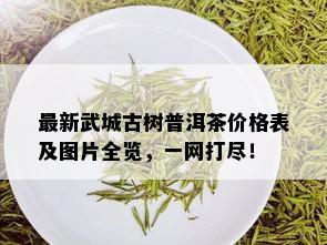 最新武城古树普洱茶价格表及图片全览，一网打尽！