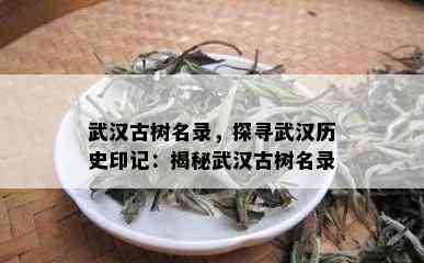 武汉古树名录，探寻武汉历史印记：揭秘武汉古树名录