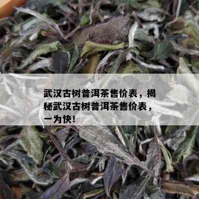 武汉古树普洱茶售价表，揭秘武汉古树普洱茶售价表，一为快！