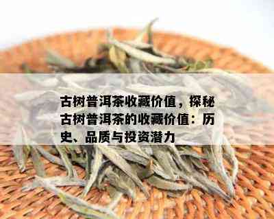 古树普洱茶收藏价值，探秘古树普洱茶的收藏价值：历史、品质与投资潜力