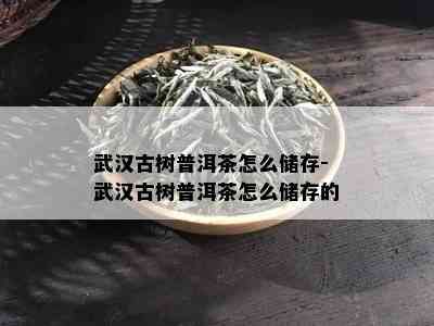 武汉古树普洱茶怎么储存-武汉古树普洱茶怎么储存的