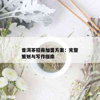 普洱茶招商加盟方案：完整策划与写作指南