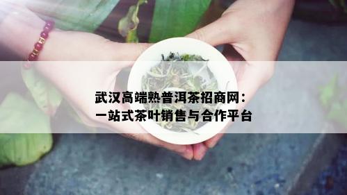 武汉高端熟普洱茶招商网：一站式茶叶销售与合作平台