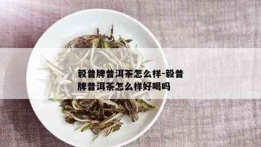 毅普牌普洱茶怎么样-毅普牌普洱茶怎么样好喝吗