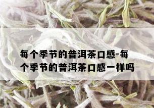 每个季节的普洱茶口感-每个季节的普洱茶口感一样吗