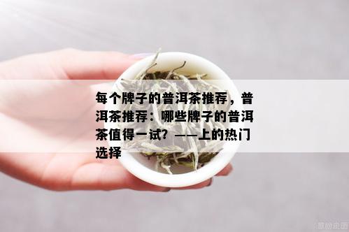 每个牌子的普洱茶推荐，普洱茶推荐：哪些牌子的普洱茶值得一试？——上的热门选择