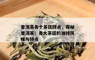 普洱茶各个茶区特点，探秘普洱茶：各大茶区的独特风味与特点