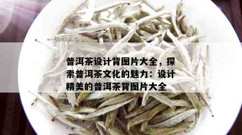 普洱茶设计背图片大全，探索普洱茶文化的魅力：设计精美的普洱茶背图片大全