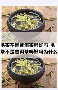 毛茶不是普洱茶吗好吗-毛茶不是普洱茶吗好吗为什么