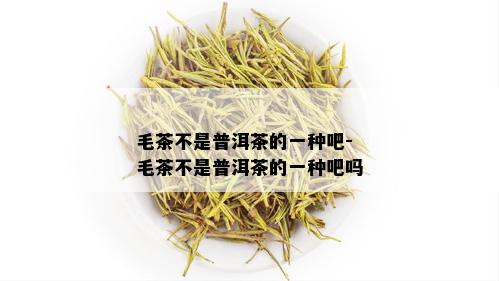 毛茶不是普洱茶的一种吧-毛茶不是普洱茶的一种吧吗