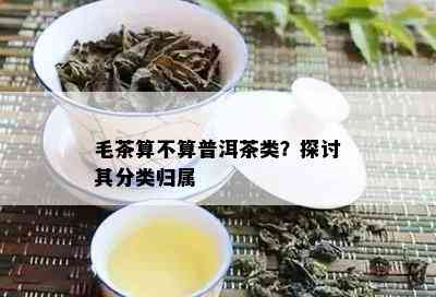 毛茶算不算普洱茶类？探讨其分类归属