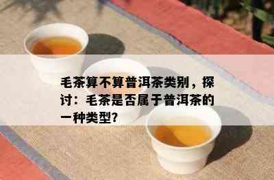 毛茶算不算普洱茶类别，探讨：毛茶是否属于普洱茶的一种类型？