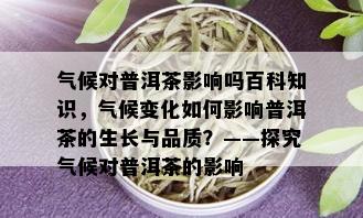 气候对普洱茶影响吗百科知识，气候变化如何影响普洱茶的生长与品质？——探究气候对普洱茶的影响