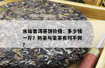 水仙普洱茶饼价格：多少钱一斤？熟茶与生茶有何不同？