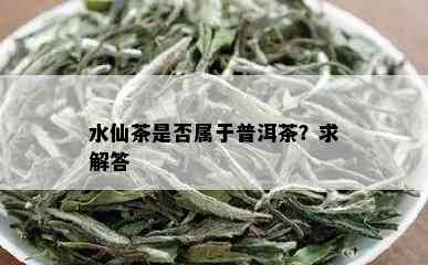 水仙茶是否属于普洱茶？求解答