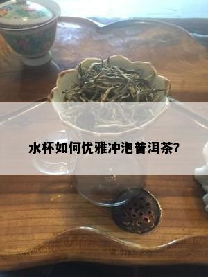 水杯如何优雅冲泡普洱茶？