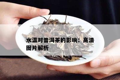 水温对普洱茶的影响：高清图片解析