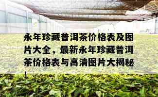 永年珍藏普洱茶价格表及图片大全，最新永年珍藏普洱茶价格表与高清图片大揭秘！