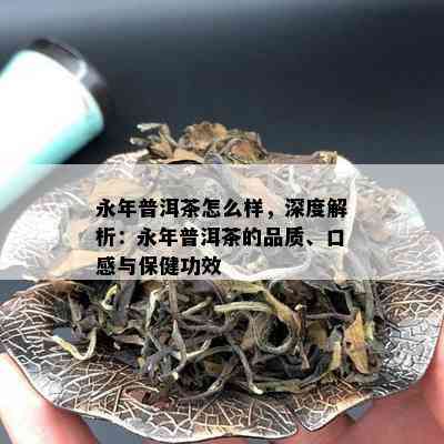 永年普洱茶怎么样，深度解析：永年普洱茶的品质、口感与保健功效