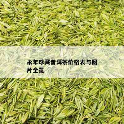 永年珍藏普洱茶价格表与图片全览