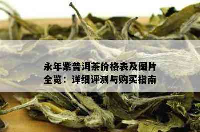 永年紫普洱茶价格表及图片全览：详细评测与购买指南