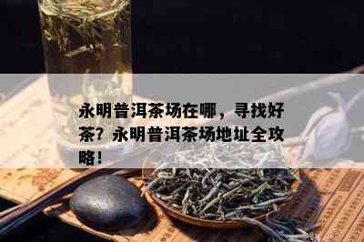 永明普洱茶场在哪，寻找好茶？永明普洱茶场地址全攻略！