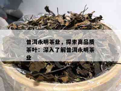 普洱永明茶业，探索高品质茶叶：深入了解普洱永明茶业