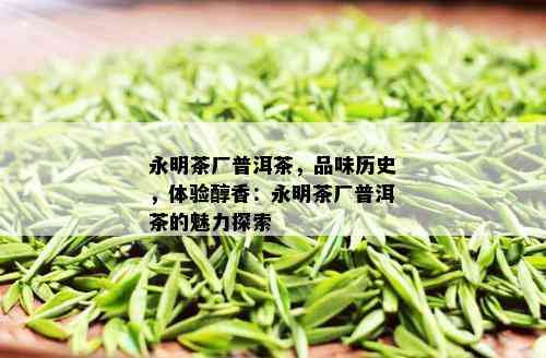 永明茶厂普洱茶，品味历史，体验醇香：永明茶厂普洱茶的魅力探索