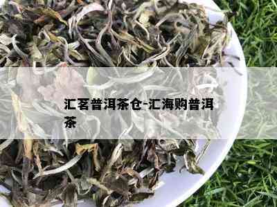 汇茗普洱茶仓-汇海购普洱茶