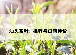 汕头茶叶：推荐与口感评价