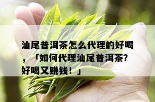 汕尾普洱茶怎么代理的好喝，「如何代理汕尾普洱茶？好喝又赚钱！」