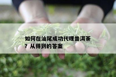 如何在汕尾成功代理普洱茶？从得到的答案