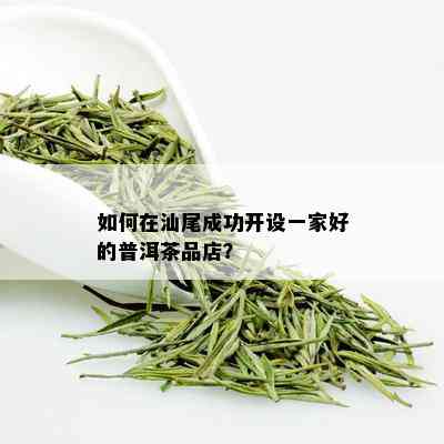 如何在汕尾成功开设一家好的普洱茶品店？