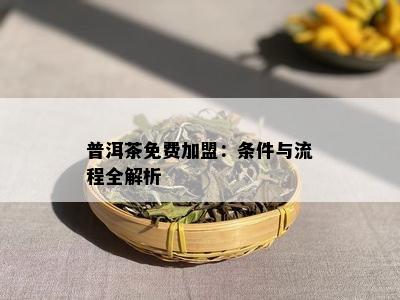 普洱茶免费加盟：条件与流程全解析